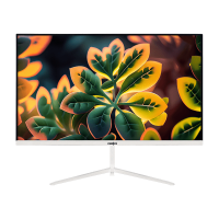 Frontech (MON-0078) Pro-Series 24 inch Full HD LED Backlit IPS Panel Gaming Monitor (Response Time: 5 ms, 100 Hz Refresh Rate)