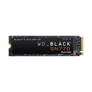 Storage (SSD/HDD)