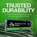 Seagate-250GB-NVme-1