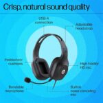 HP-H120-Stereo-USB-Headset